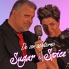 De Zon Achterna - Single