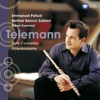 Telemann Concertos, 2002