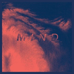 HOLY NOTHING - Mind