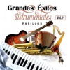 Grandes Éxitos Instrumentales Pasillos, Vol. 11