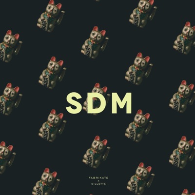 SDM (feat. Gillette) - Single