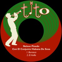 Borrasca - Single - Nelson Pinedo & Conjunto Habana de Sosa