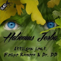 Habemus Jerba (feat. Felipe Romero & Dr. DD) - Single - Attilson