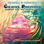 Paradiso & Rasamayi - The Journey