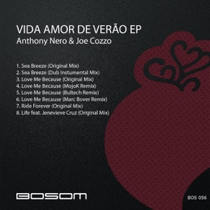 Vida Amor de Verão