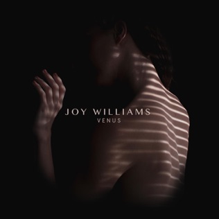 Joy Williams Until the Levee