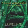 A Forest Called Mulu, 1997