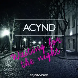 Waiting for the Night by Acynd song reviws