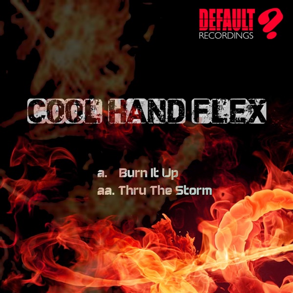 Burn It Up / Thru the Storm - Single