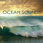 Ocean Sounds