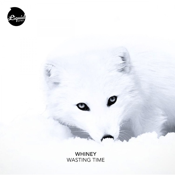 Wasting Time - Single