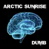 Arctic Sunrise - Broken
