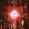 Points North - Rich Mattson and the Northstars lyrics