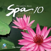 Spa Music, Vol. 10: ดนตรีบำบัด artwork