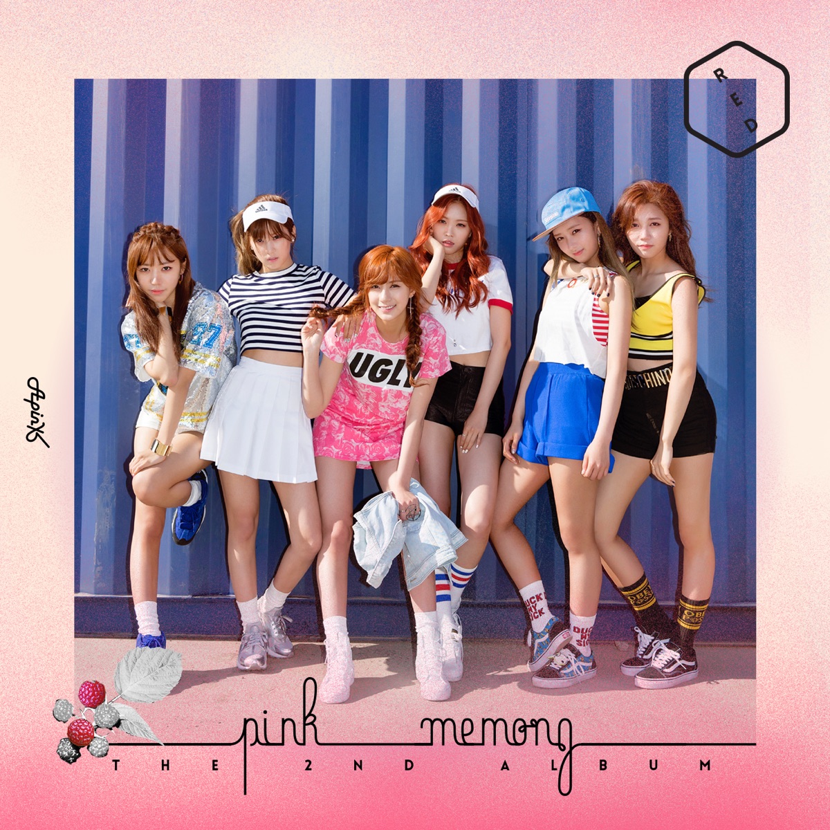 Apink – Pink MEMORY