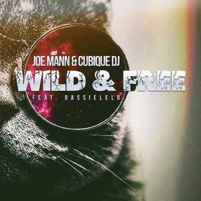 Wild & Free (feat. Bassielelo) - Single