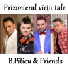 B.Piticu & Friends