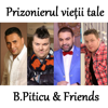 B.Piticu & Friends - Various Artists