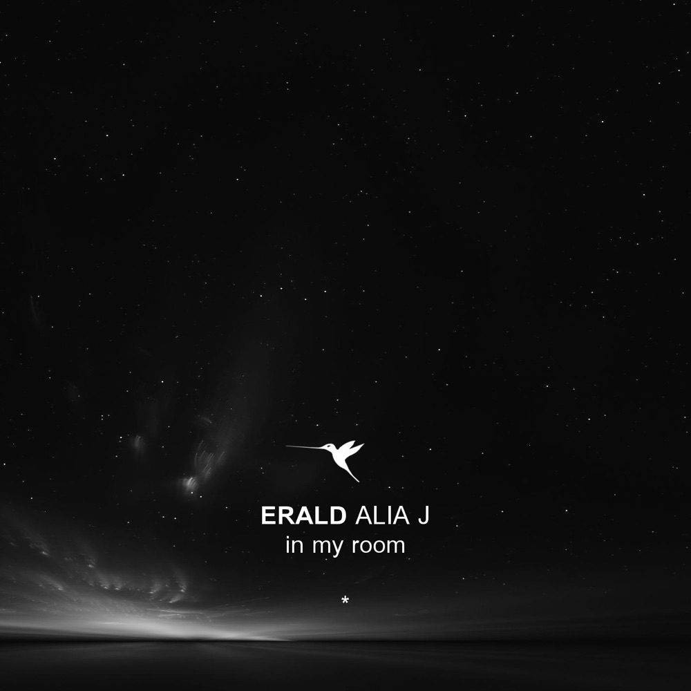 Обложка альбома «In My Room - Single» — Erald Alia J