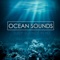 Ocean Sounds - Nature Sounds lyrics