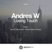 Losing Touch (Mario M Remix) artwork