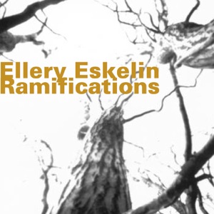 Ramifications (feat. Andrea Parkins, Erik Friedlander, Joe Daley & Jim Black)