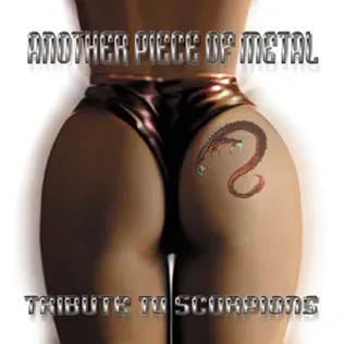 descargar álbum Various - Another Piece Of Metal Tribute To Scorpions