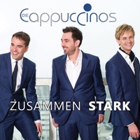 Zusammen stark (Special Version) - Die Cappuccinos