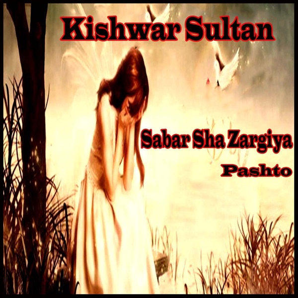 Sabar Sha Zargiya