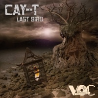 Last Bird - Single - Cay-T
