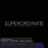 Abnormal Wave - Single