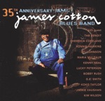 James Cotton - Cotton Crop Blues (feat. Lucky Peterson)
