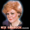 Neşe Karaböcek - Yazıklar Olsun Sana