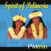Spirit of Polinesia (Remastered) artwork