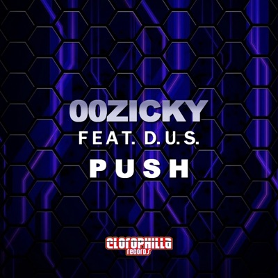 Push (feat. d.u.s.) - Single