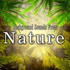 African Ambience with Birds and Insects
