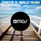 Rush (feat. Molly) [Sam Feldt Remix] - Zwette lyrics