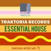 Essential House, Vol. 7