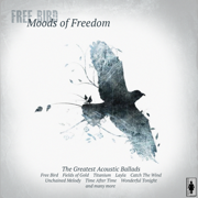 Free Bird - Moods of Freedom - Tim Barton's Acoustic Dreams