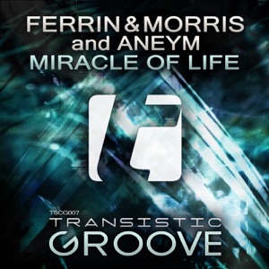 Miracle of Life - Single
