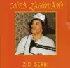 Zid Serbi