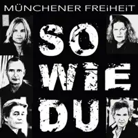 So wie Du (Album Mix)