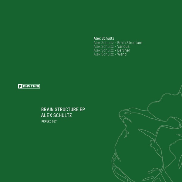 Brain Structure - EP