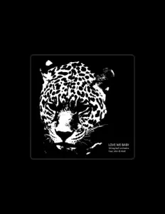 Sitting Bull Orchestraを聴いたり、ミュージックビデオを鑑賞したり、経歴やツアー日程などを確認したりしましょう！
