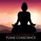 Méditation de pleine conscience - Musique Zen Garden lyrics