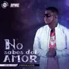Stream & download No Sabes Del Amor (feat. Predikador)