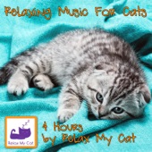 4 Hours - Relaxing Music for Cats artwork