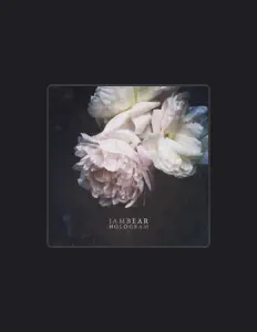 Listen to IAMBEAR, watch music videos, read bio, see tour dates & more!