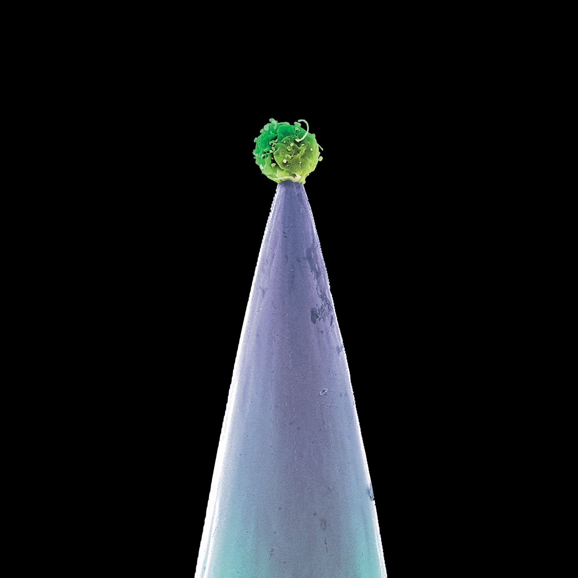 Peter Gabriel – New Blood Cover