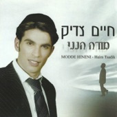 ויהי נועם artwork